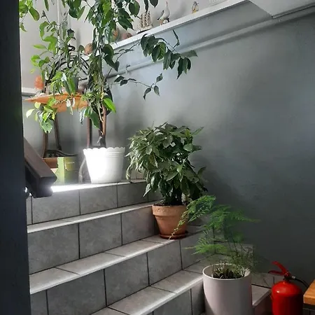 Goscinne Cuma 웨바