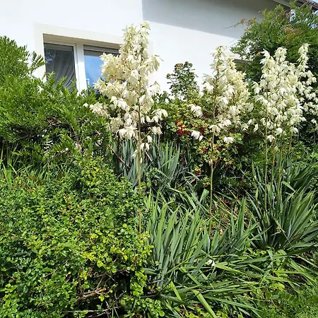 Goscinne Cuma Guest house