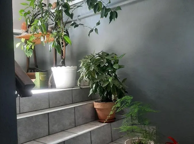 Gościnne Cuma Łeba