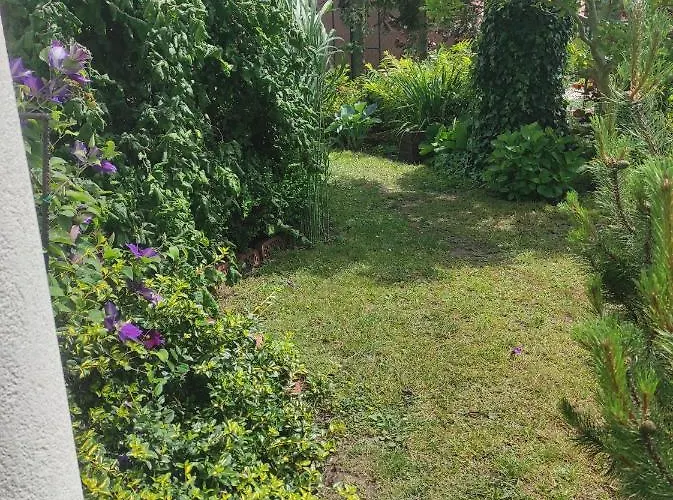 Pensjonat Gościnne Cuma