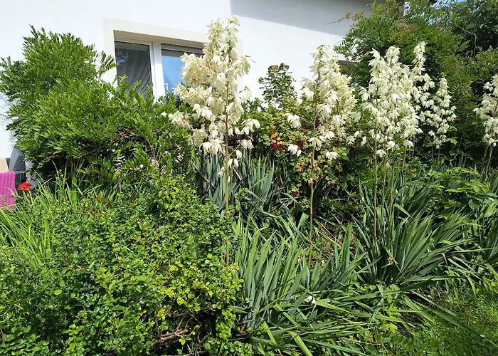 Gościnne Cuma Pensjonat